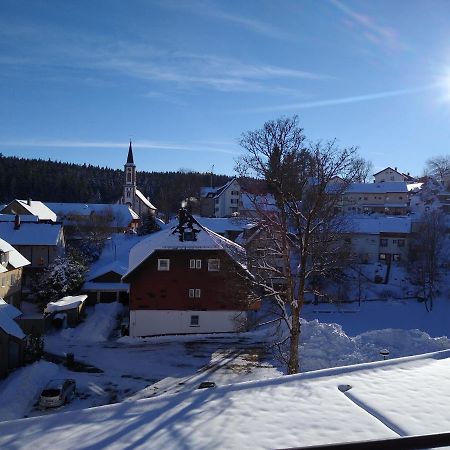 Apartment 358 Mit Sauna, Schwimmbad Und Fitness Schönwald Luaran gambar