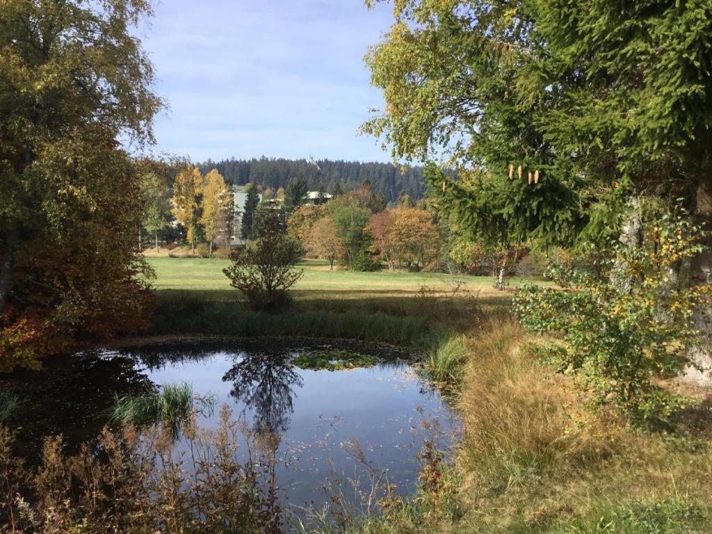 Apartment 358 Mit Sauna, Schwimmbad Und Fitness Schönwald Luaran gambar